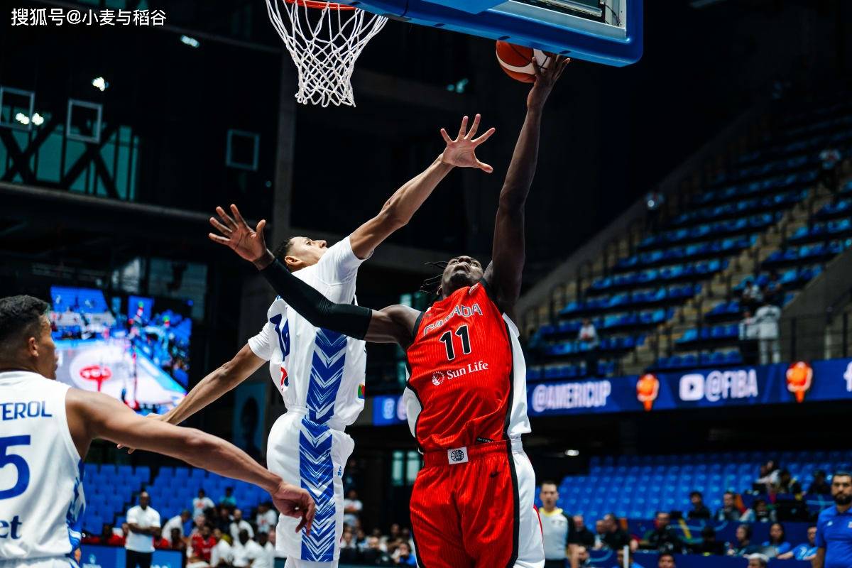 包含明尼苏达森林狼发布备战花絮,冲刺阶段官宣签约,欧超杯任务艰巨,数据层面出现新趋势的词条 包含明尼苏达森林狼发布备战花絮,冲刺阶段官宣签约,欧超杯任务艰巨,数据层面出现新趋势的词条