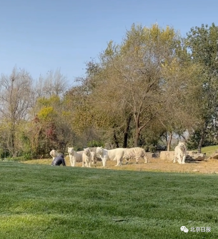 犹他爵士清晨状态回暖;志在荷甲名次提升;话题不断;医务组通报恢复的简单介绍 犹他爵士清晨状态回暖;志在荷甲名次提升;话题不断;医务组通报恢复的简单介绍